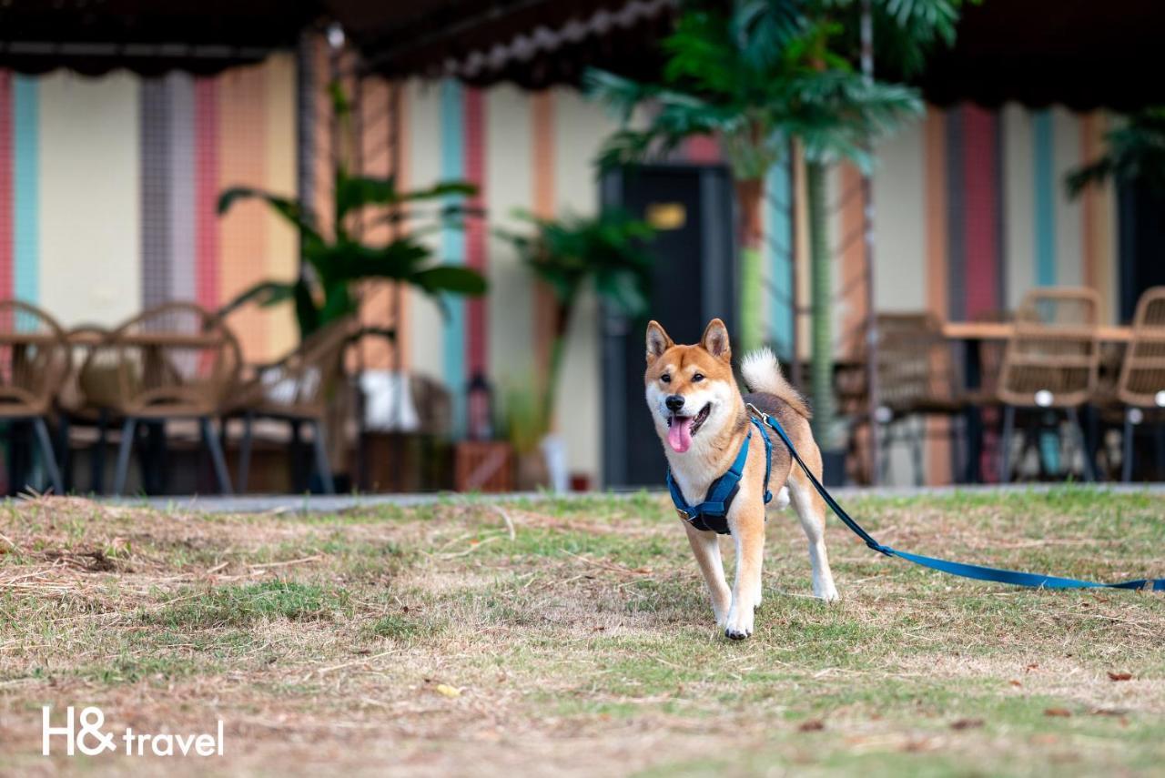Taitung Rainbow Pet Friendly Maison Resort Esterno foto