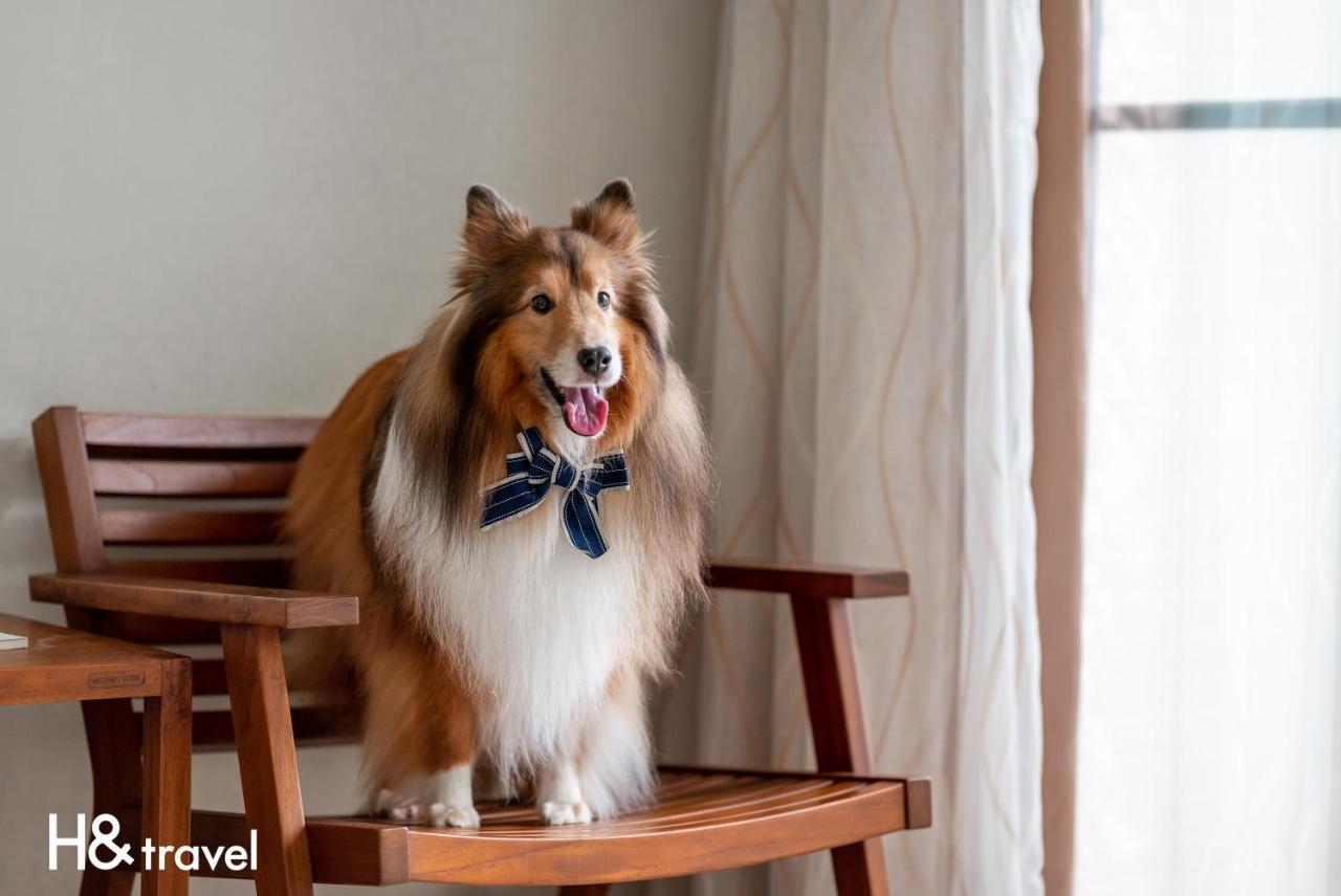 Taitung Rainbow Pet Friendly Maison Resort Esterno foto