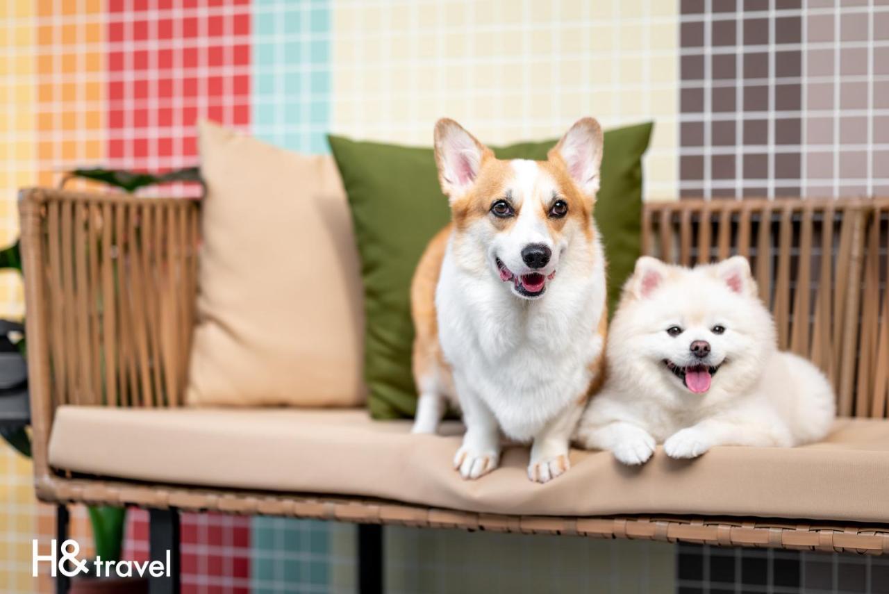 Taitung Rainbow Pet Friendly Maison Resort Esterno foto