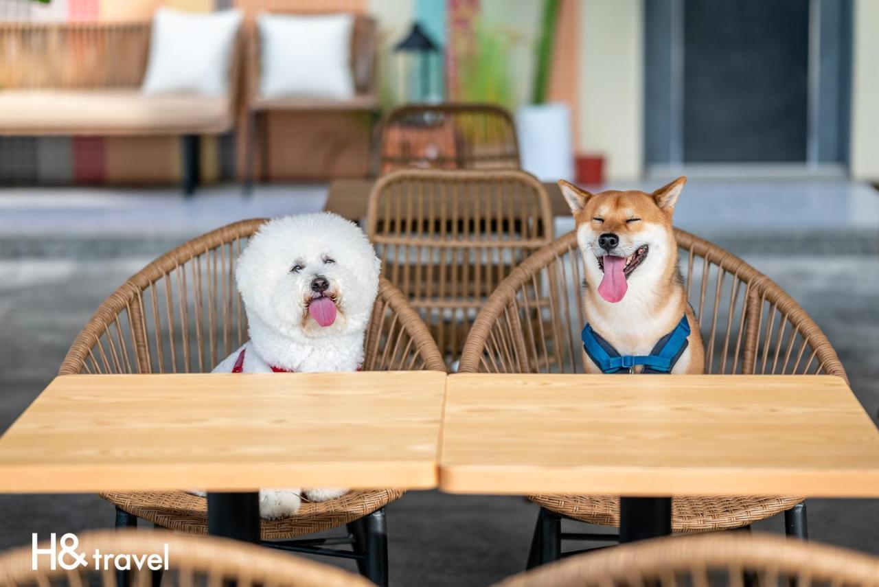 Taitung Rainbow Pet Friendly Maison Resort Esterno foto