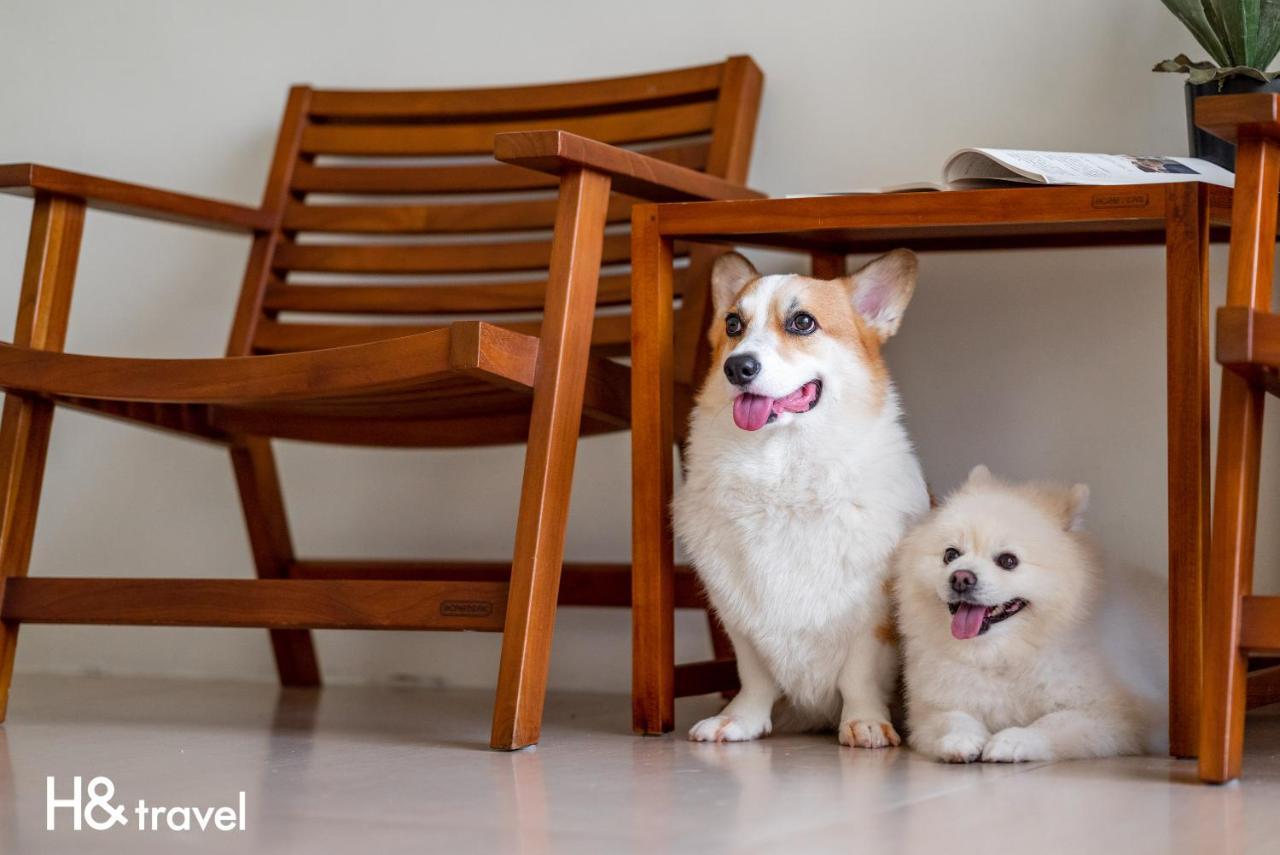 Taitung Rainbow Pet Friendly Maison Resort Esterno foto