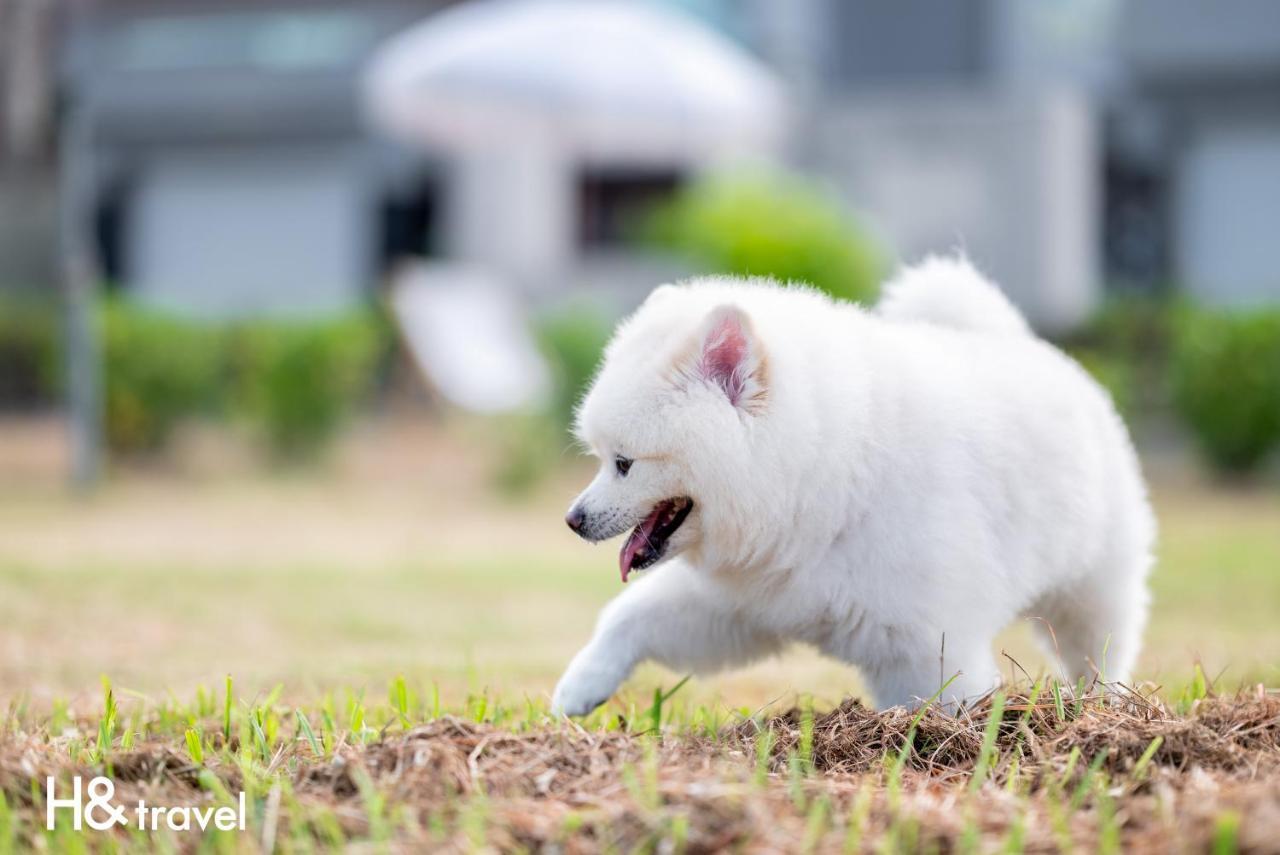 Taitung Rainbow Pet Friendly Maison Resort Esterno foto