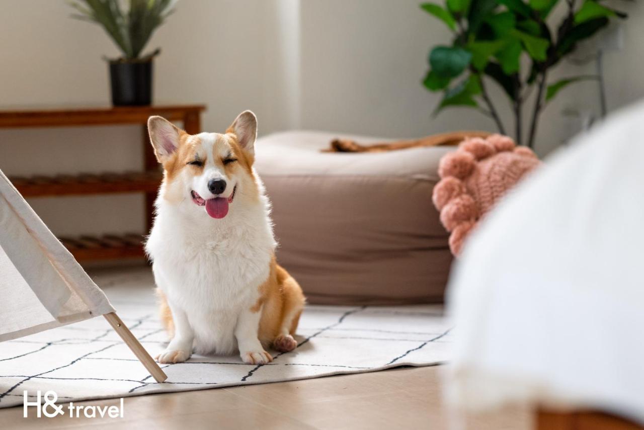 Taitung Rainbow Pet Friendly Maison Resort Esterno foto