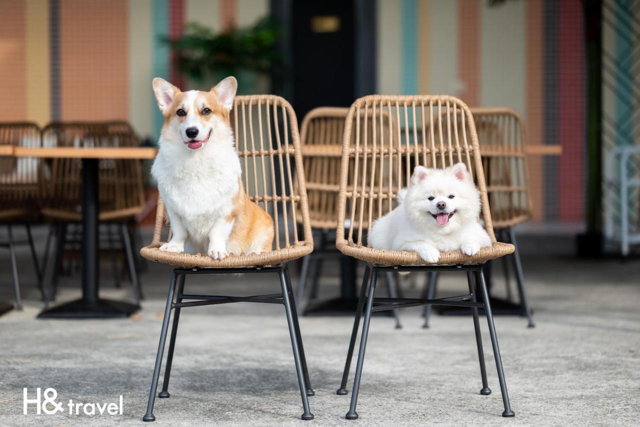 Taitung Rainbow Pet Friendly Maison Resort Esterno foto