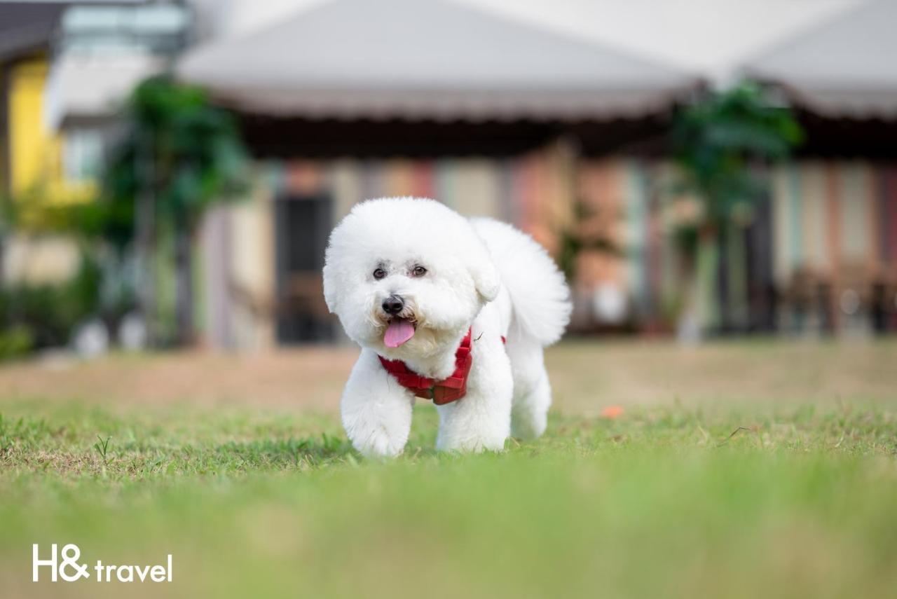 Taitung Rainbow Pet Friendly Maison Resort Esterno foto