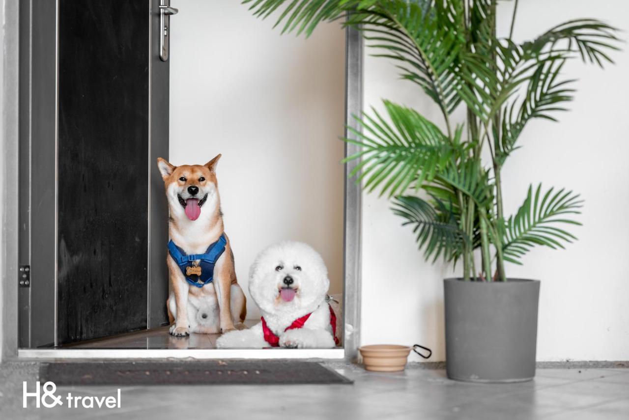 Taitung Rainbow Pet Friendly Maison Resort Esterno foto